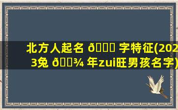 北方人起名 🐝 字特征(2023兔 🌾 年zui
旺男孩名字)